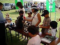 shi-ive-04.jpg