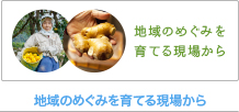 地域のめぐみを 育てる現場から 地域のめぐみを育てる現場から