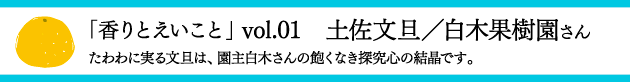 report00-002.png