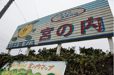 report01-003.jpg