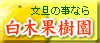 report01-016.jpg